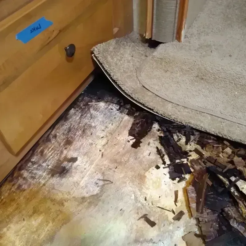 Wood Floor Water Damage in Baker County, OR